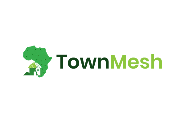 TownMesh Logo